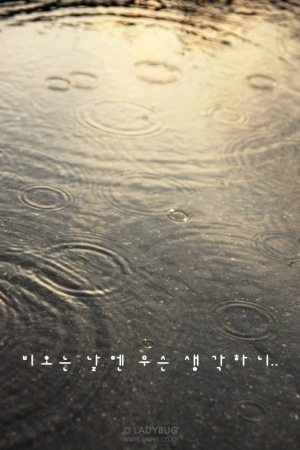 글귀배경2