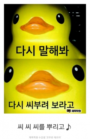 제목학원
