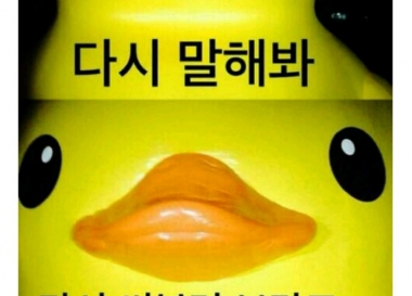 제목학원